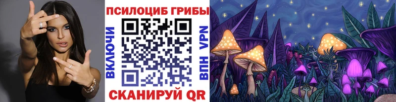 купить наркоту  Кандалакша  Псилоцибиновые грибы мухоморы 