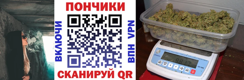 Шишки марихуана планчик  Кандалакша 