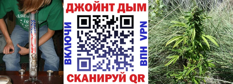 Каннабис сатива Кандалакша